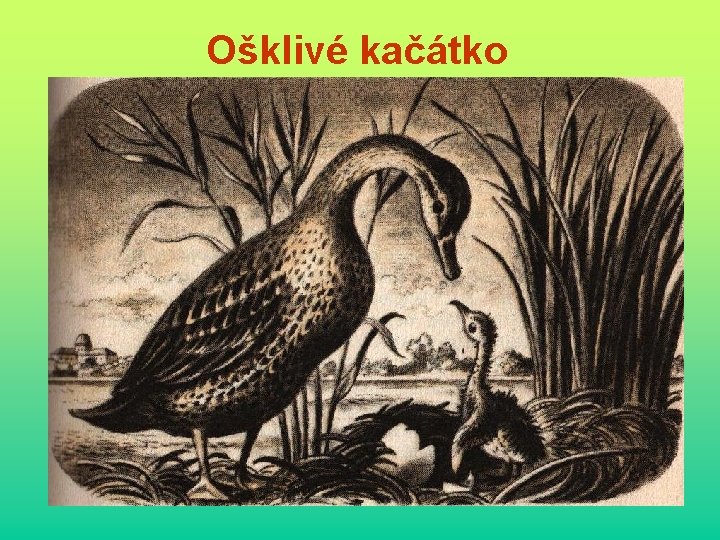 Ošklivé kačátko 