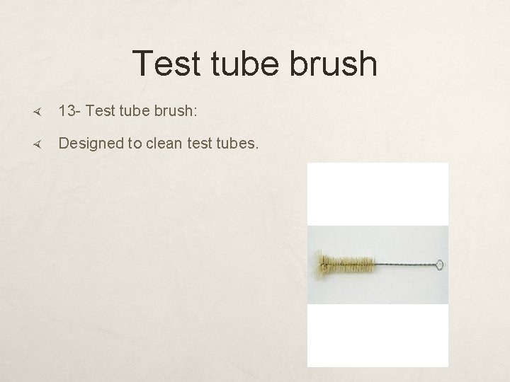 Test tube brush 13 - Test tube brush: Designed to clean test tubes. 