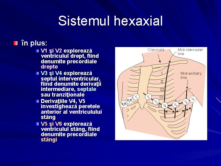 Sistemul hexaxial în plus: V 1 şi V 2 explorează ventriculul drept, fiind denumite