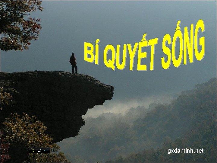 gxdaminh. net 