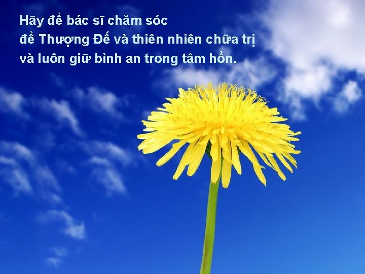 Hãy để bác sĩ chăm sóc để Thượng Đế và thiên nhiên chữa trị