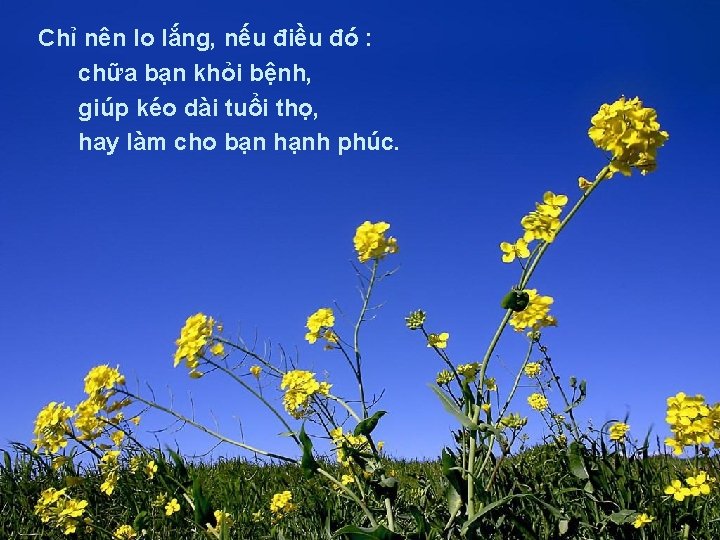 Chỉ nên lo lắng, nếu điều đó : chữa bạn khỏi bệnh, giúp kéo