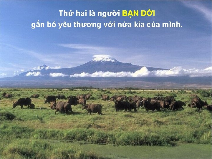 Thứ hai là người BẠN ĐỜI gắn bó yêu thương với nửa kia của