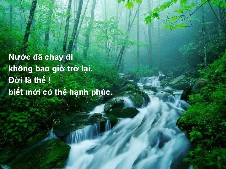 Nước đã chảy đi không bao giờ trở lại. Đời là thế ! biết