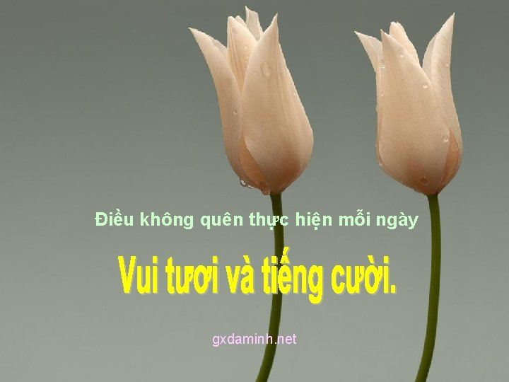 Điều không quên thực hiện mỗi ngày gxdaminh. net 