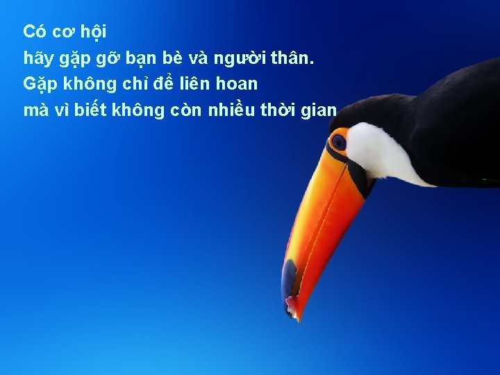 Có cơ hội hãy gặp gỡ bạn bè và người thân. Gặp không chỉ