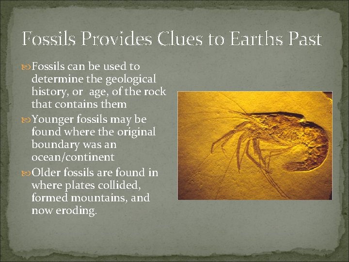 Fossils Provides Clues to Earths Past Fossils can be used to determine the geological