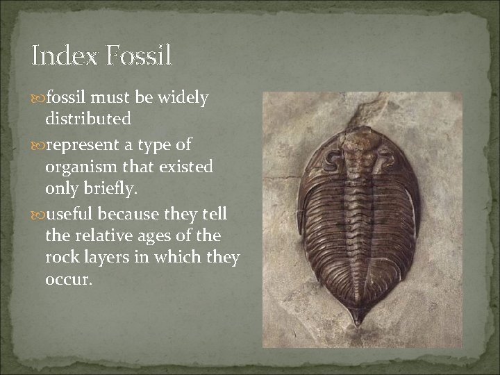 Index Fossil fossil must be widely distributed represent a type of organism that existed