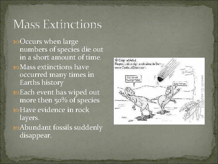 Mass Extinctions Occurs when large numbers of species die out in a short amount