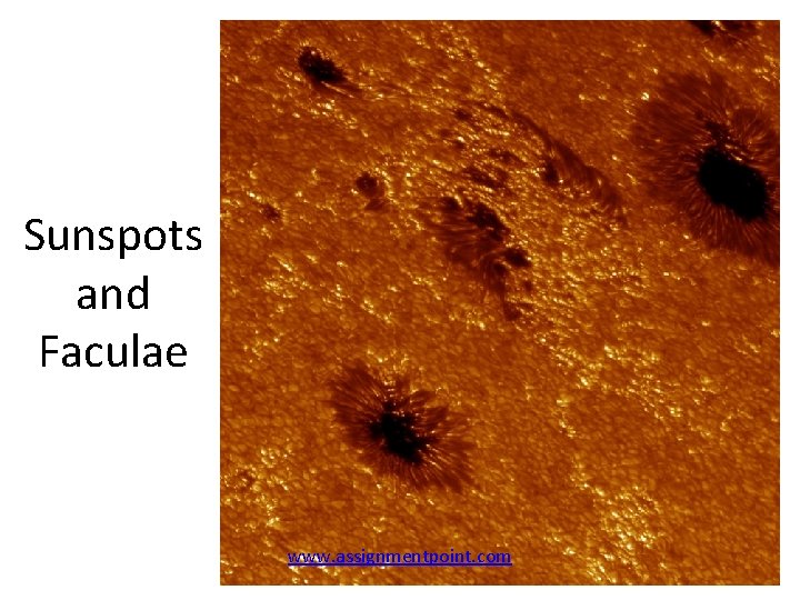 Sunspots and Faculae www. assignmentpoint. com 