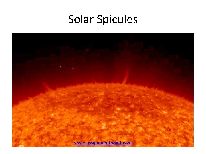 Solar Spicules www. assignmentpoint. com 