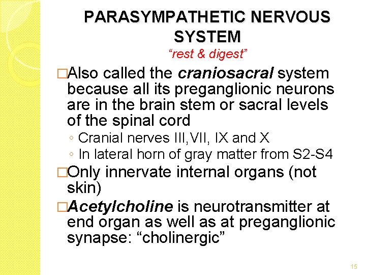 PARASYMPATHETIC NERVOUS SYSTEM “rest & digest” �Also called the craniosacral system because all its PARASYMPATHETIC NERVOUS SYSTEM “rest & digest” �Also called the craniosacral system because all its