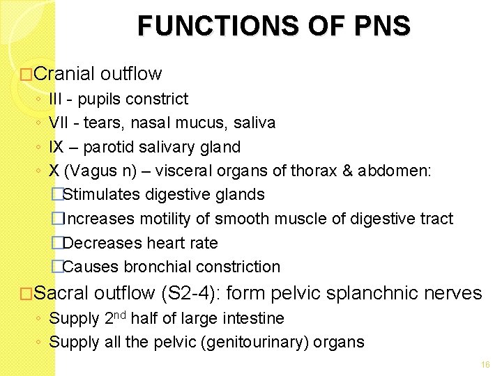 FUNCTIONS OF PNS �Cranial ◦ ◦ outflow III - pupils constrict VII - tears, FUNCTIONS OF PNS �Cranial ◦ ◦ outflow III - pupils constrict VII - tears,