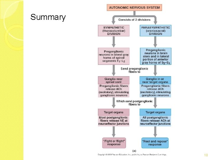 Summary 18 Summary 18