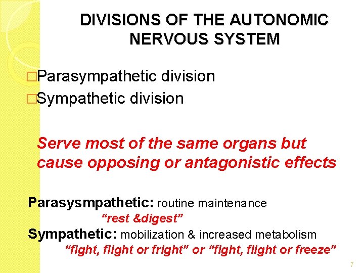 DIVISIONS OF THE AUTONOMIC NERVOUS SYSTEM �Parasympathetic division �Sympathetic division Serve most of the DIVISIONS OF THE AUTONOMIC NERVOUS SYSTEM �Parasympathetic division �Sympathetic division Serve most of the