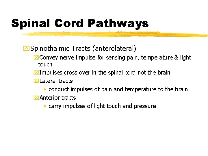 Spinal Cord Pathways y. Spinothalmic Tracts (anterolateral) x. Convey nerve impulse for sensing pain,