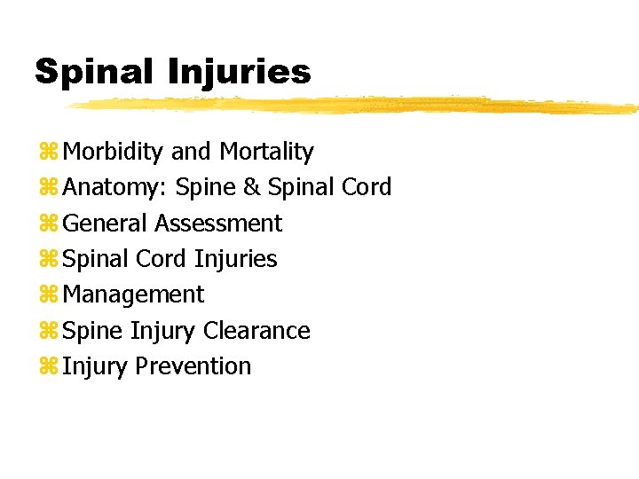 Spinal Injuries z Morbidity and Mortality z Anatomy: Spine & Spinal Cord z General