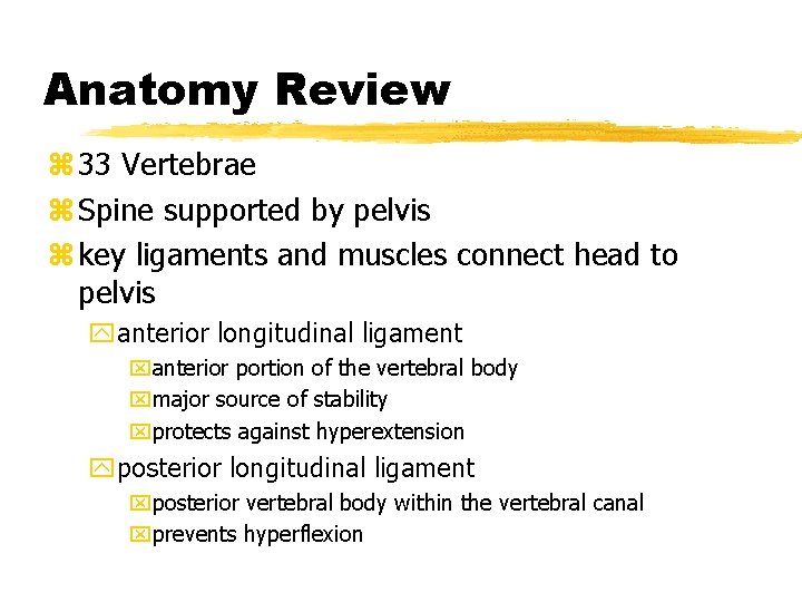 Anatomy Review z 33 Vertebrae z Spine supported by pelvis z key ligaments and