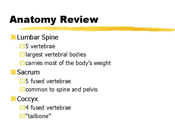 Anatomy Review z Lumbar Spine y 5 vertebrae ylargest vertebral bodies ycarries most of