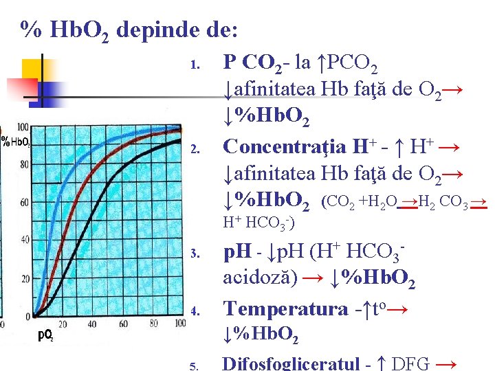 % Hb. O 2 depinde de: 1. 2. P CO 2 - la ↑PCO % Hb. O 2 depinde de: 1. 2. P CO 2 - la ↑PCO