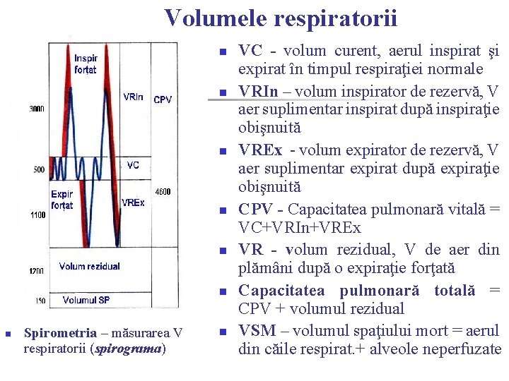 Volumele respiratorii n n n n Spirometria – măsurarea V respiratorii (spirograma) n VC Volumele respiratorii n n n n Spirometria – măsurarea V respiratorii (spirograma) n VC
