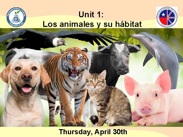 Unit 1: Los animales y su hábitat Thursday, April 30 th 