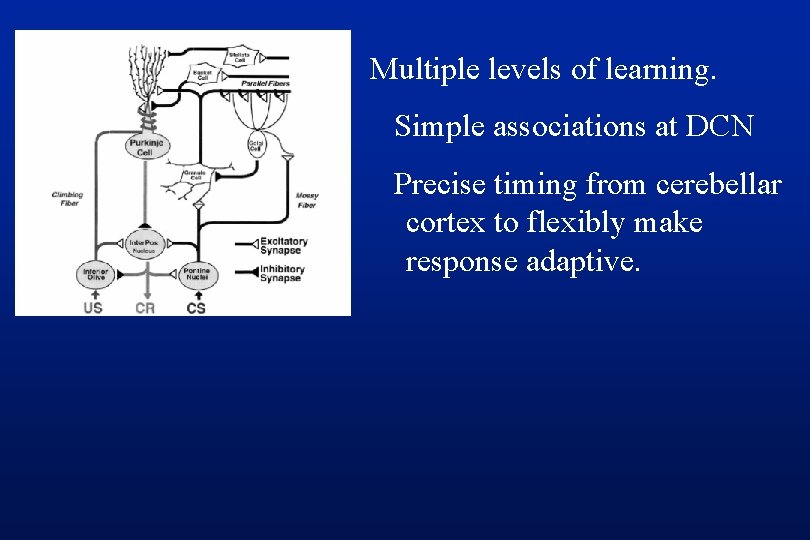 Multiple levels of learning. Simple associations at DCN Precise timing from cerebellar cortex to