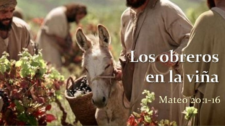 Los obreros en la viña Mateo 20: 1 -16 