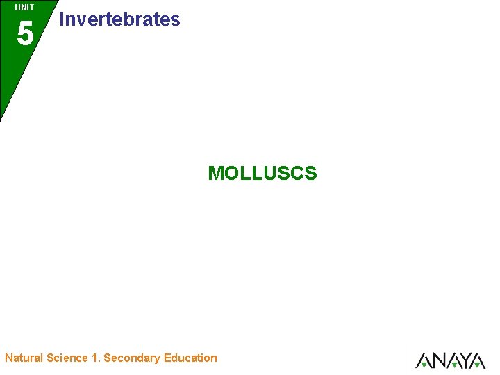 UNIT 5 Invertebrates MOLLUSCS Natural Science 1. Secondary Education 