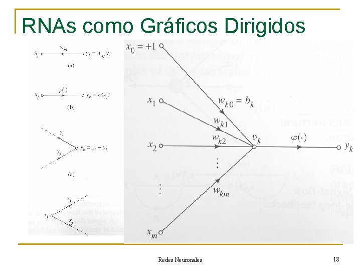 RNAs como Gráficos Dirigidos Redes Neuronales 18 