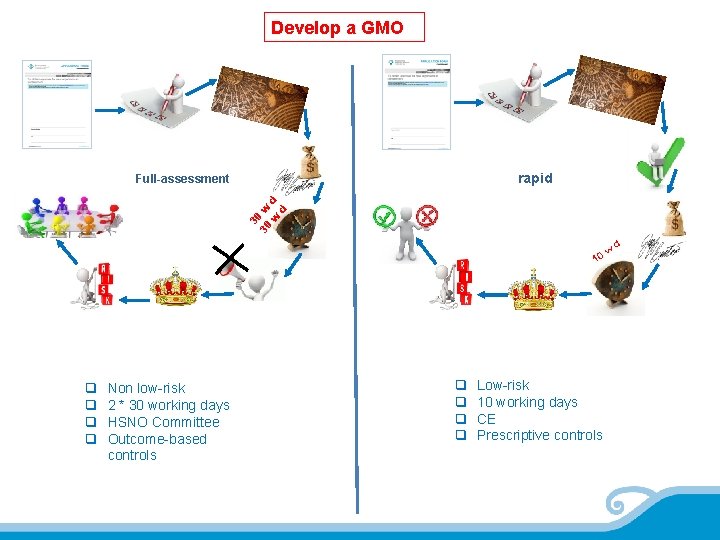 Develop a GMO rapid 30 30 w w d d Full-assessment 10 q q