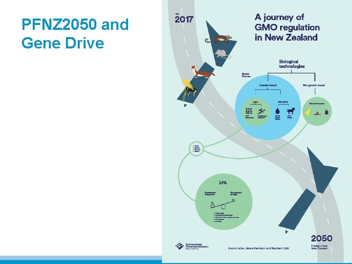 PFNZ 2050 and Gene Drive 
