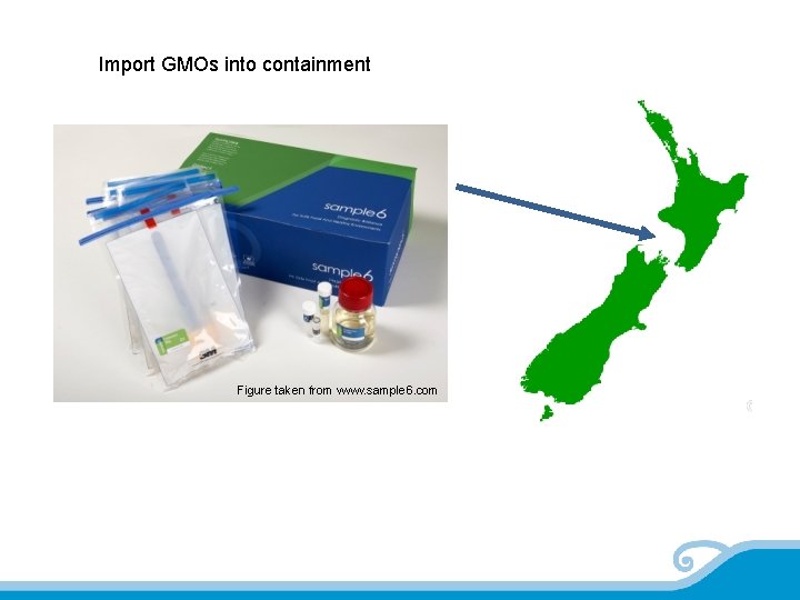 Import GMOs into containment Figure taken from www. sample 6. com 