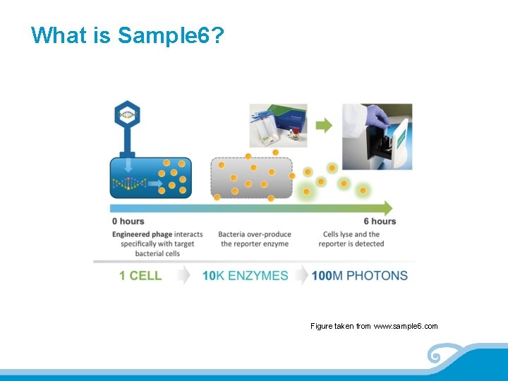 What is Sample 6? Figure taken from www. sample 6. com 