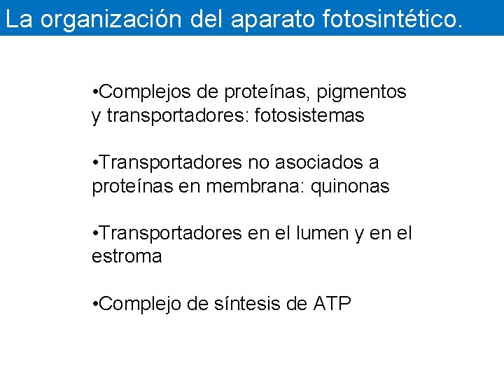 La organización del aparato fotosintético. • Complejos de proteínas, pigmentos y transportadores: fotosistemas •