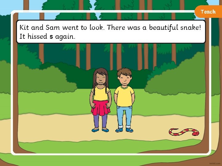 Teach Kit and Sam went to look. There was a beautiful snake! It hissed
