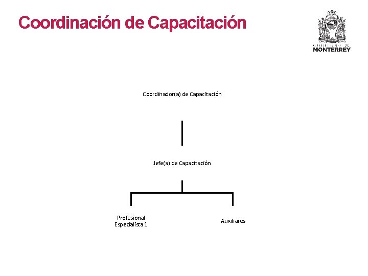 Coordinación de Capacitación Coordinador(a) de Capacitación Jefe(a) de Capacitación Profesional Especialista 1 Auxiliares Coordinación de Capacitación Coordinador(a) de Capacitación Jefe(a) de Capacitación Profesional Especialista 1 Auxiliares