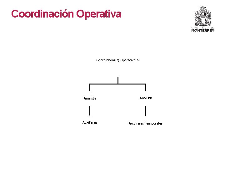 Coordinación Operativa Coordinador(a) Operativo(a) Analista Auxiliares Temporales Coordinación Operativa Coordinador(a) Operativo(a) Analista Auxiliares Temporales