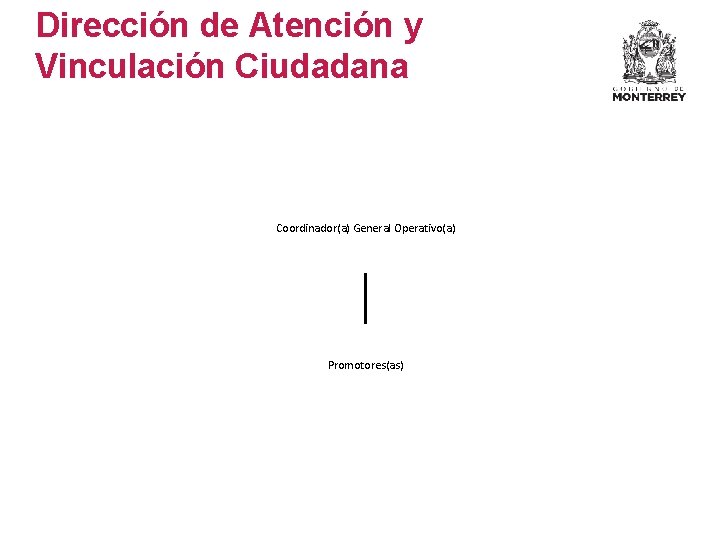 Dirección de Atención y Vinculación Ciudadana Coordinador(a) General Operativo(a) Promotores(as) Dirección de Atención y Vinculación Ciudadana Coordinador(a) General Operativo(a) Promotores(as)