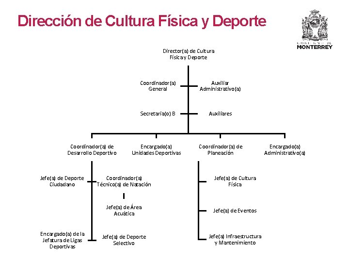 Dirección de Cultura Física y Deporte Director(a) de Cultura Física y Deporte Coordinador(a) de Dirección de Cultura Física y Deporte Director(a) de Cultura Física y Deporte Coordinador(a) de