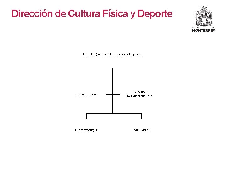 Dirección de Cultura Física y Deporte Director(a) de Cultura Física y Deporte Supervisor(a) Auxiliar Dirección de Cultura Física y Deporte Director(a) de Cultura Física y Deporte Supervisor(a) Auxiliar