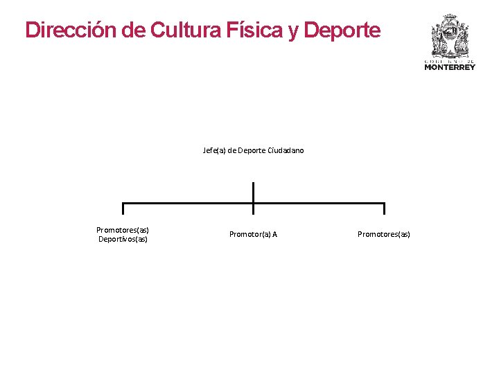 Dirección de Cultura Física y Deporte Jefe(a) de Deporte Ciudadano Promotores(as) Deportivos(as) Promotor(a) A Dirección de Cultura Física y Deporte Jefe(a) de Deporte Ciudadano Promotores(as) Deportivos(as) Promotor(a) A
