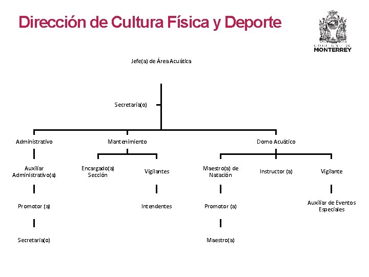Dirección de Cultura Física y Deporte Jefe(a) de Área Acuática Secretaria(o) Administrativo Auxiliar Administrativo(a) Dirección de Cultura Física y Deporte Jefe(a) de Área Acuática Secretaria(o) Administrativo Auxiliar Administrativo(a)