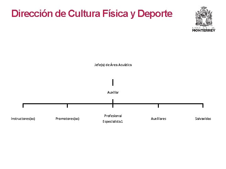 Dirección de Cultura Física y Deporte Jefe(a) de Área Acuática Auxiliar Instructores(as) Promotores(as) Profesional Dirección de Cultura Física y Deporte Jefe(a) de Área Acuática Auxiliar Instructores(as) Promotores(as) Profesional