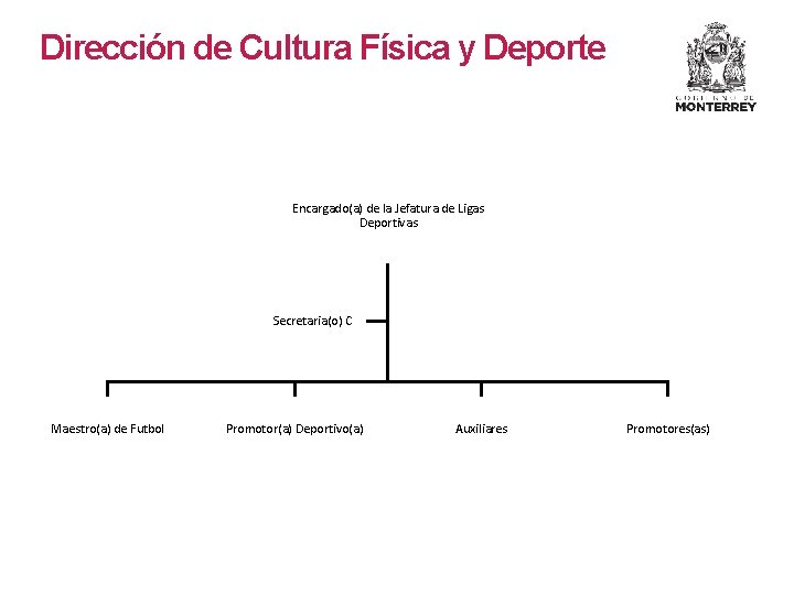 Dirección de Cultura Física y Deporte Encargado(a) de la Jefatura de Ligas Deportivas Secretaria(o) Dirección de Cultura Física y Deporte Encargado(a) de la Jefatura de Ligas Deportivas Secretaria(o)