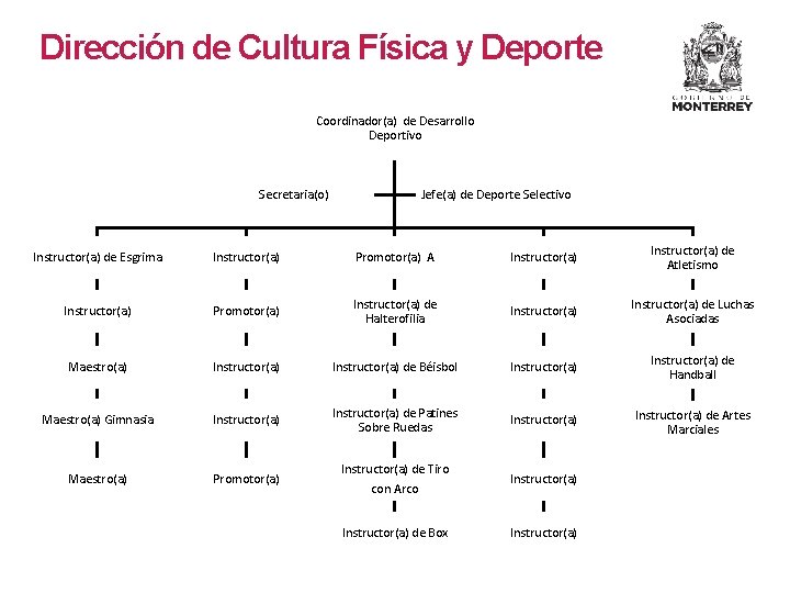 Dirección de Cultura Física y Deporte Coordinador(a) de Desarrollo Deportivo Secretaria(o) Jefe(a) de Deporte Dirección de Cultura Física y Deporte Coordinador(a) de Desarrollo Deportivo Secretaria(o) Jefe(a) de Deporte