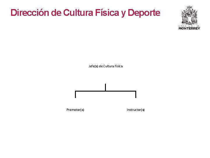Dirección de Cultura Física y Deporte Jefe(a) de Cultura Física Promotor(a) Instructor(a) Dirección de Cultura Física y Deporte Jefe(a) de Cultura Física Promotor(a) Instructor(a)