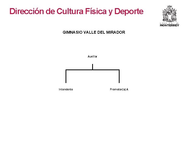 Dirección de Cultura Física y Deporte GIMNASIO VALLE DEL MIRADOR Auxiliar Intendente Promotor(a) A Dirección de Cultura Física y Deporte GIMNASIO VALLE DEL MIRADOR Auxiliar Intendente Promotor(a) A