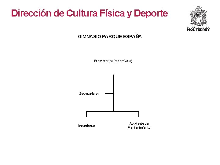 Dirección de Cultura Física y Deporte GIMNASIO PARQUE ESPAÑA Promotor(a) Deportivo(a) Secretaria(o) Intendente Ayudante Dirección de Cultura Física y Deporte GIMNASIO PARQUE ESPAÑA Promotor(a) Deportivo(a) Secretaria(o) Intendente Ayudante