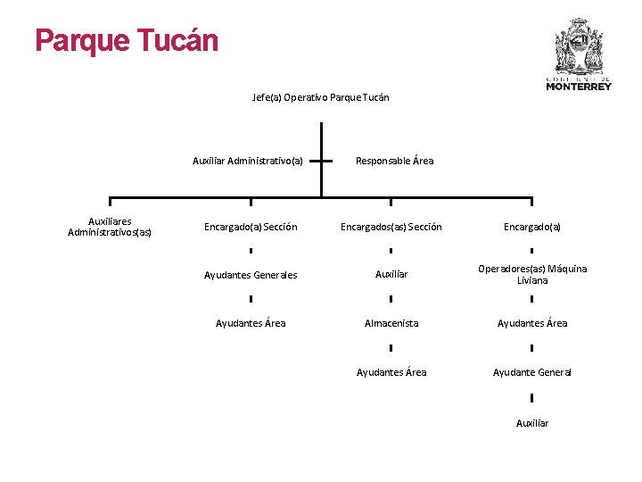 Parque Tucán Jefe(a) Operativo Parque Tucán Auxiliares Administrativos(as) Auxiliar Administrativo(a) Responsable Área Encargado(a) Sección Parque Tucán Jefe(a) Operativo Parque Tucán Auxiliares Administrativos(as) Auxiliar Administrativo(a) Responsable Área Encargado(a) Sección